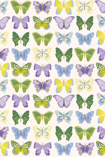 Pink Light Studio: The Botanist I by Jennifer Ellory