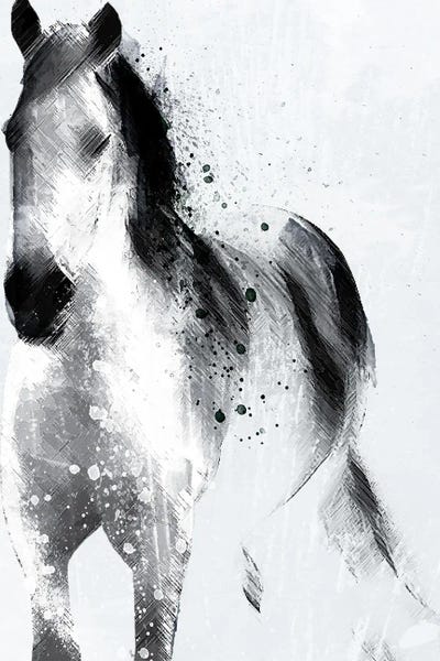 Mystic Horse by Jennifer Ellory framed canvas print