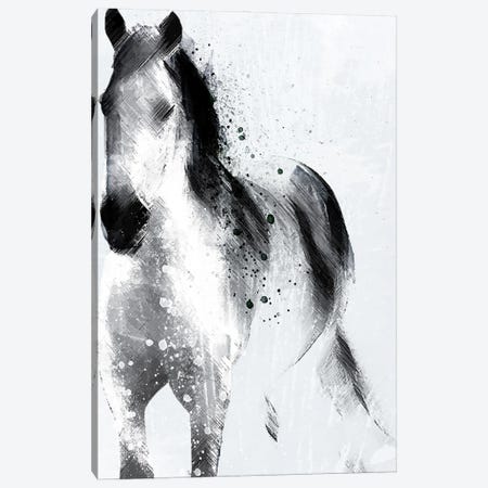 Mystic Horse Canvas Print #JEE29} by Jennifer Ellory Canvas Print