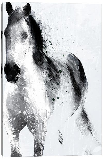 Mystic Horse Canvas Art Print