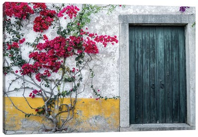 Portugal, Obidos. Beautiful bougainvillea blooming in the town Canvas Art Print - Ivy & Vine Art