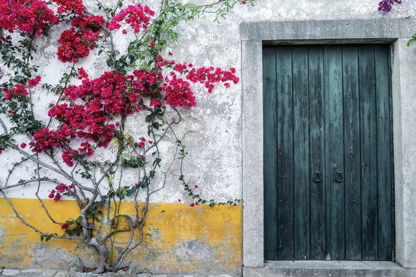 Doors: Portugal, Obidos. Beautiful bougainvillea blooming in the town by Julie Eggers