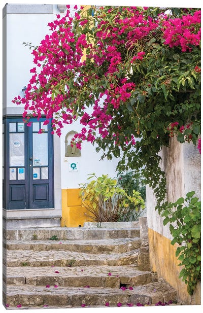 Beautiful Bougainvillea Blooming In Town I, Portugal, Obidos, Portugal Canvas Art Print