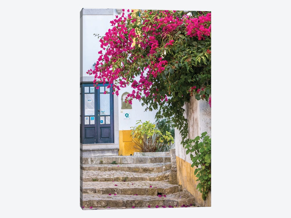 Beautiful Bougainvillea Blooming In Town I, Portugal, Obidos, Portugal by Julie Eggers 1-piece Canvas Artwork