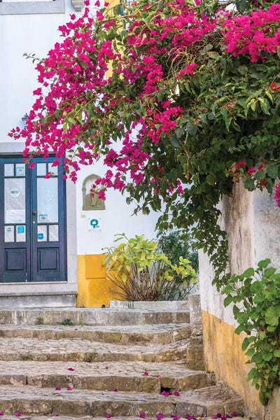Ivies: Beautiful Bougainvillea Blooming In Town I, Portugal, Obidos, Portugal by Julie Eggers