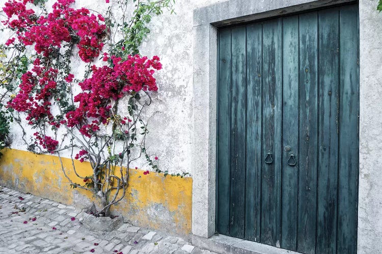 Beautiful Bougainvillea Blooming In Town II, Portugal, Obidos, Portugal