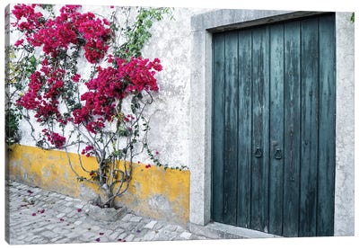 Beautiful Bougainvillea Blooming In Town II, Portugal, Obidos, Portugal Canvas Art Print - Ivy & Vines