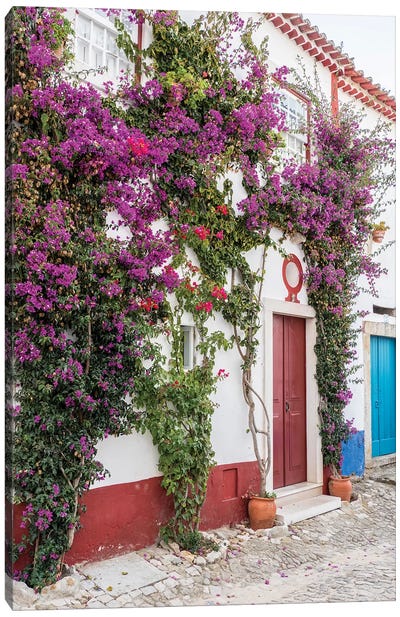 Beautiful Bougainvillea Blooming In Town III, Portugal, Obidos, Portugal Canvas Art Print - Ivy & Vine Art