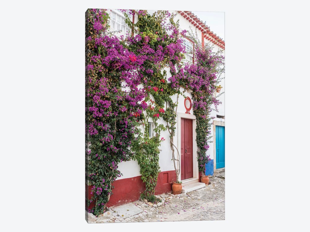 Beautiful Bougainvillea Blooming In Town III, Portugal, Obidos, Portugal by Julie Eggers 1-piece Canvas Art