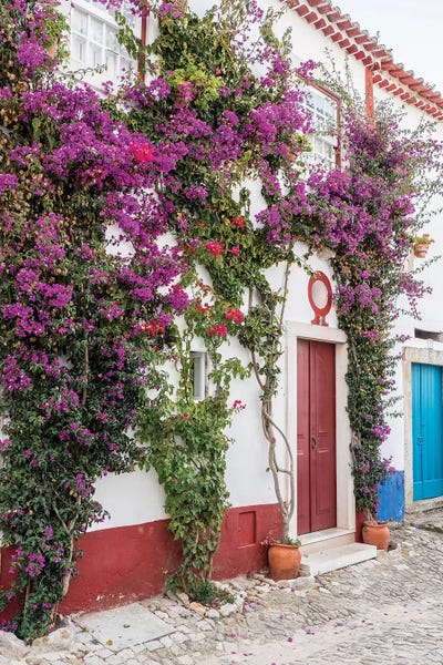 Doors: Beautiful Bougainvillea Blooming In Town III, Portugal, Obidos, Portugal by Julie Eggers