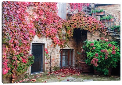 Ivy-Covered Building, Castello di Volpaia, Italy Canvas Art Print - Window Art