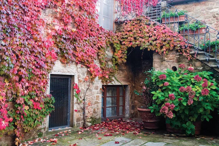 Ivy-Covered Building, Castello di Volpaia, Italy