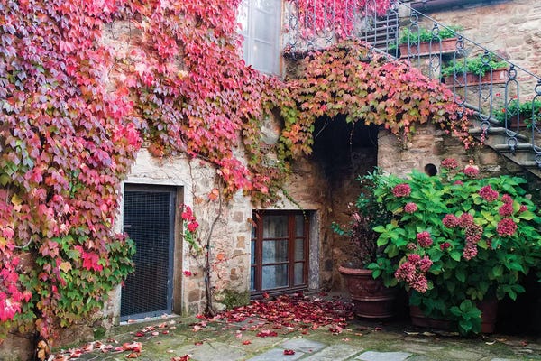 Masonry: Ivy-Covered Building, Castello di Volpaia, Italy by Julie Eggers