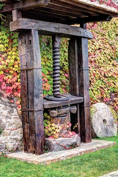 Old Olive Oil Press, Castello Banfi, Siena Province, Tuscany Region, Italy by Julie Eggers metal wall art