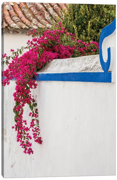 Beautiful Bougainvillea Blooming In Town IV, Portugal, Obidos, Portugal Canvas Art Print - Ivy & Vines