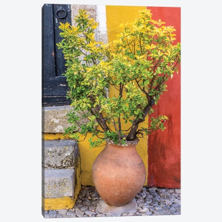Potted Plant In Front Of A Colorful Entrance To A Home, Obidos, Portugal Canvas Print #JEG24} by Julie Eggers Canvas Artwork