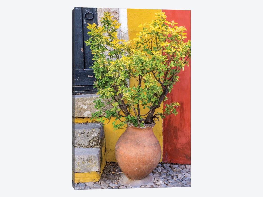 Potted Plant In Front Of A Colorful Entrance To A Home, Obidos, Portugal by Julie Eggers 1-piece Canvas Artwork