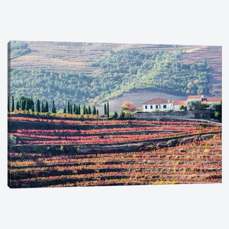A Home Above The Vineyards On Terraced Hillsides Above The Douro River, Douro Valley, Portugal Canvas Print #JEG26} by Julie Eggers Canvas Art