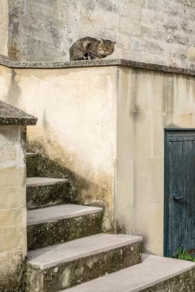 Cats Roaming The Cave Dwelling Town Of Matera by Julie Eggers metal wall art