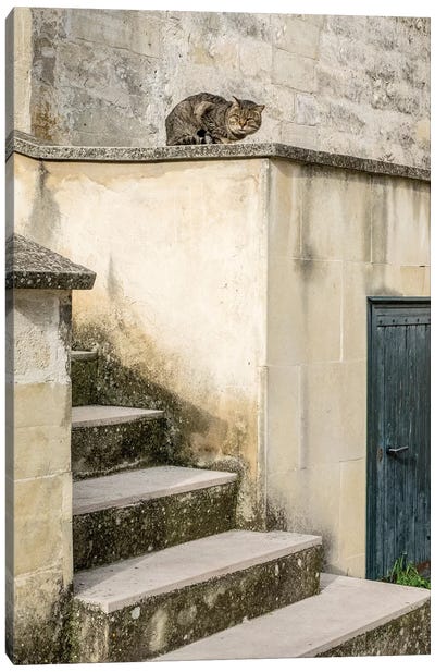 Cats Roaming The Cave Dwelling Town Of Matera Canvas Art Print - Stairs & Staircases
