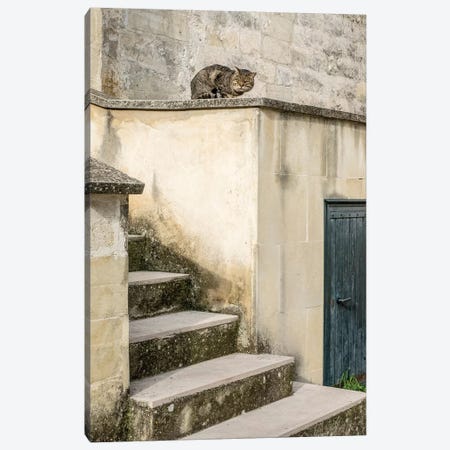 Cats Roaming The Cave Dwelling Town Of Matera Canvas Print #JEG30} by Julie Eggers Canvas Art