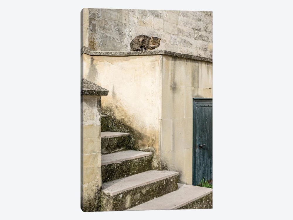 Cats Roaming The Cave Dwelling Town Of Matera by Julie Eggers 1-piece Art Print