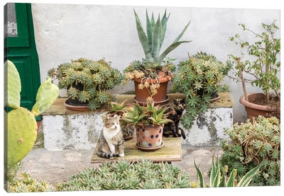 Plants Adorn The Outside Walls Of The Sassi Houses Canvas Art Print