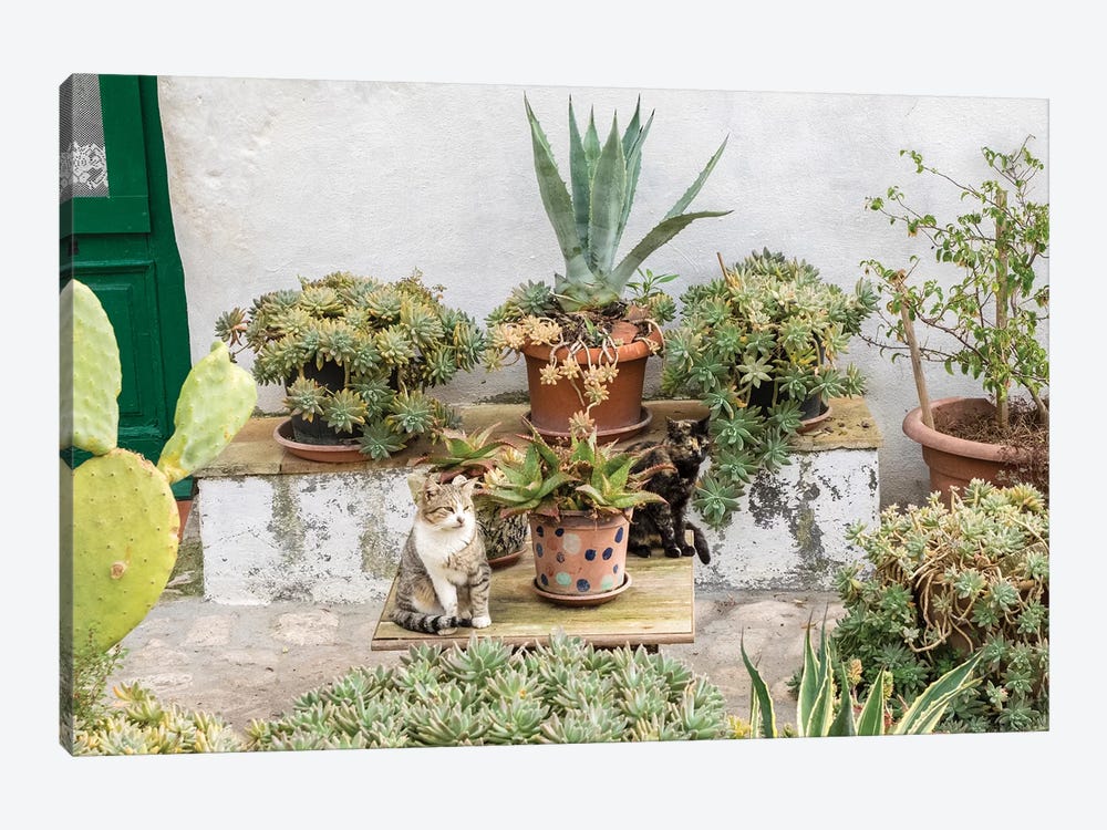 Plants Adorn The Outside Walls Of The Sassi Houses by Julie Eggers 1-piece Canvas Artwork