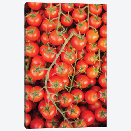 Italy, Umbria, Montefalco Closeup Of Tomatoes On The Vine Canvas Print #JEG61} by Julie Eggers Canvas Art Print