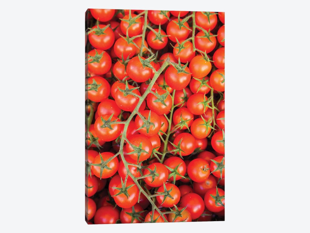 Italy, Umbria, Montefalco Closeup Of Tomatoes On The Vine by Julie Eggers 1-piece Canvas Art Print