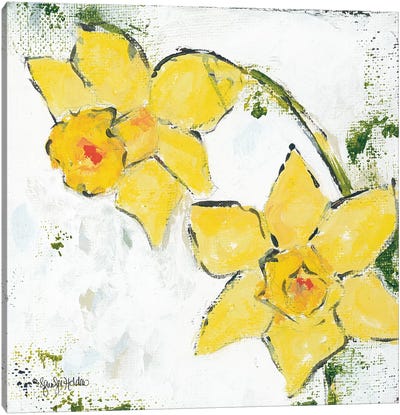 Spring Has Sprung III Canvas Art Print - Daffodil Art