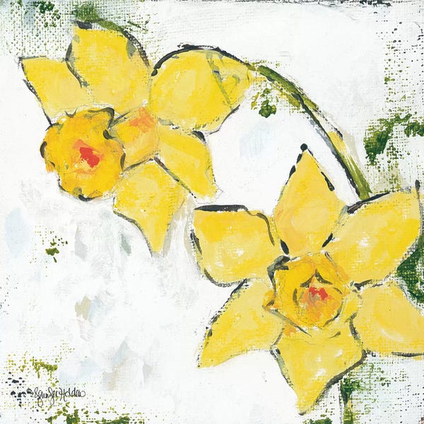Daffodils: Spring Has Sprung III by Jennifer Holden