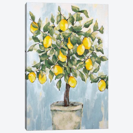 Lovely Lemons   Canvas Print #JEH17} by Jennifer Holden Canvas Wall Art