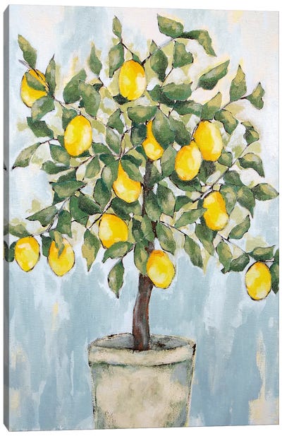 Lovely Lemons   Canvas Art Print - Lemon & Lime Art