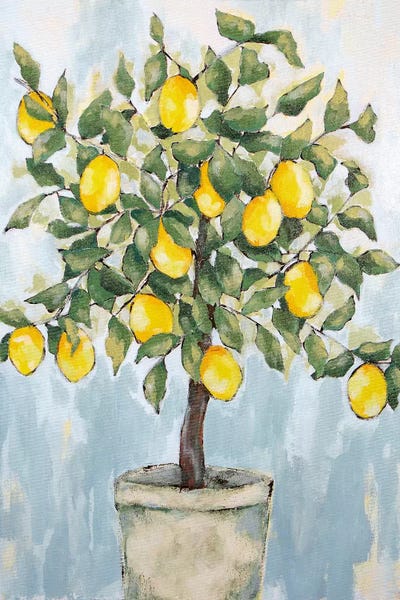 Mediterranean Décor: Lovely Lemons   by Jennifer Holden