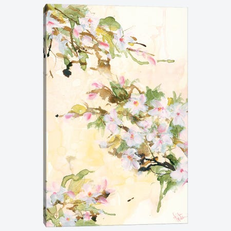 Cherry Blossoms Canvas Print #JEH26} by Jennifer Holden Art Print