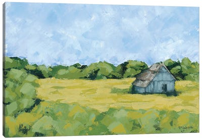 Spring Meadow Canvas Art Print
