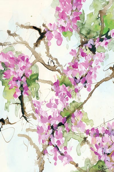 Wisterias: Wisteria in Bloom by Jennifer Holden