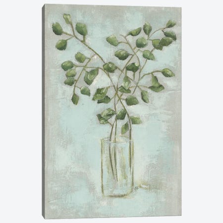 Eucalyptus Canvas Print #JEH40} by Jennifer Holden Canvas Art
