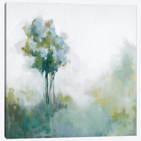 Soft And Misty Canvas Print #JEL14} by Jacqueline Ellens Canvas Art