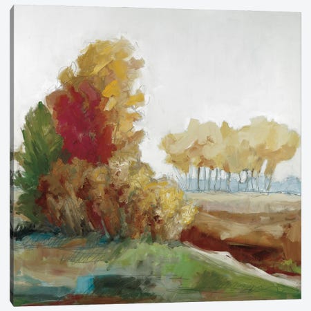 Autumn Colors Canvas Print #JEL4} by Jacqueline Ellens Canvas Art Print