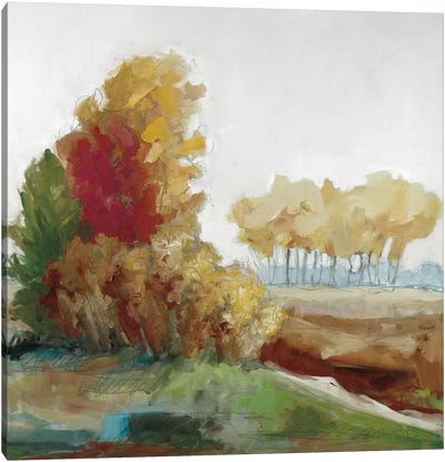 Autumn Colors Canvas Art Print