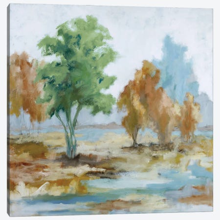 Flooded Fields Canvas Print #JEL7} by Jacqueline Ellens Canvas Art Print