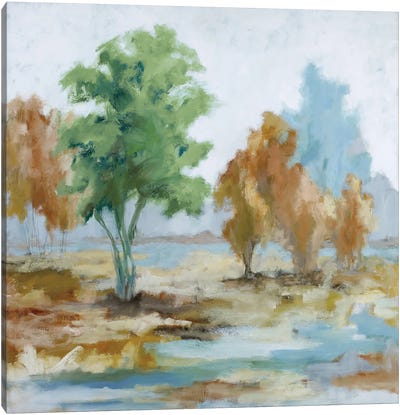 Flooded Fields Canvas Art Print