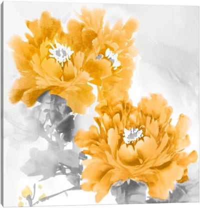 Flower Bloom In Mandarin II Canvas Art Print