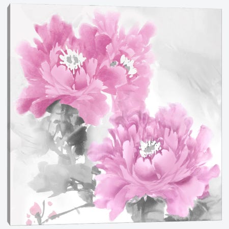 Flower Bloom In Pink II Canvas Print #JES14} by Jesse Stevens Canvas Art Print