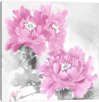 Flower Bloom In Pink II Canvas Art Print