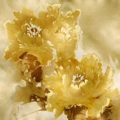 Flower Bloom On Gold I by Jesse Stevens canvas print