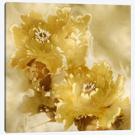 Flower Bloom On Gold I Canvas Print #JES17} by Jesse Stevens Canvas Art Print