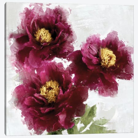 Burgundy Bloom I Canvas Print #JES22} by Jesse Stevens Art Print